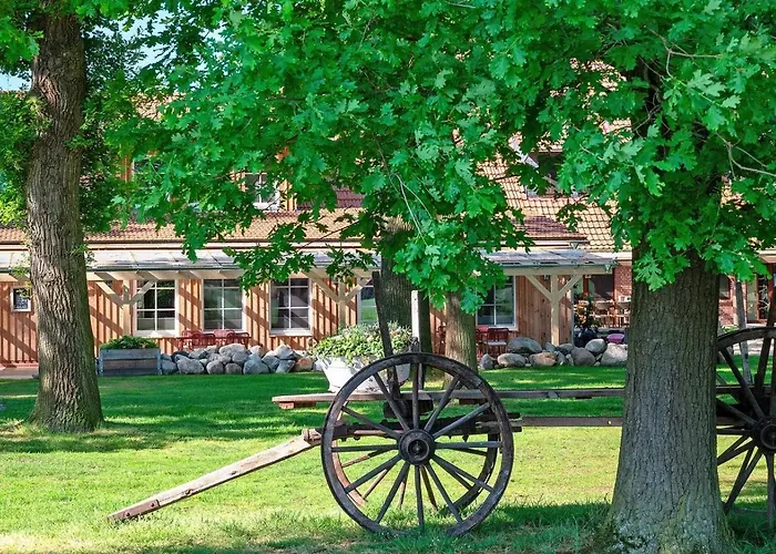 Schwalbenloft Apartament